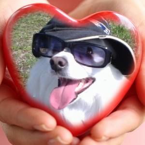 Meet your Posher, Paula